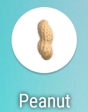 peanut logo